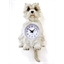 Horloge chat roux ou chien blanc