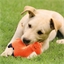 Jouet lama orange pour chien