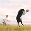 Ballon de rugby rebondissant pour chien