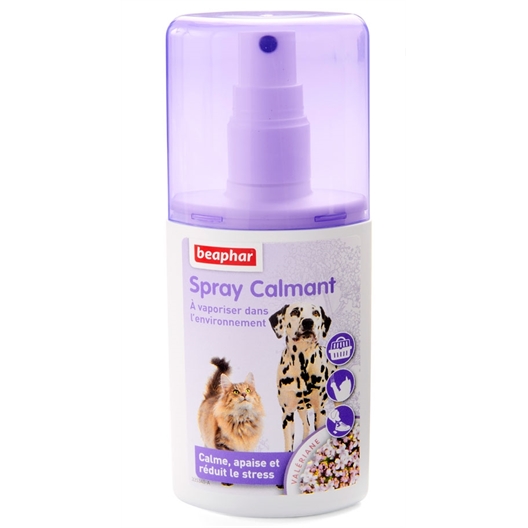Spray calmant pour chat et chien