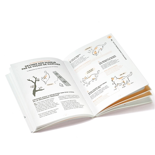 Livre : Ce que chat veut dire