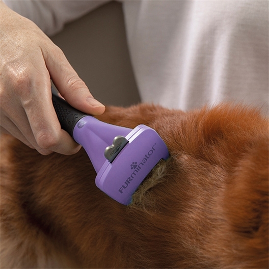 Anti-mue chiens à poils longs