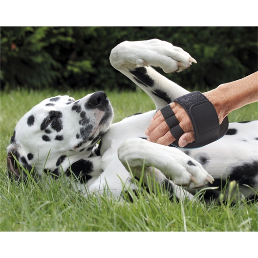 Brosse de massage pour chien