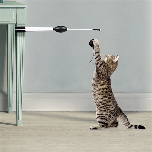 Canne à pêche automatique pour chat