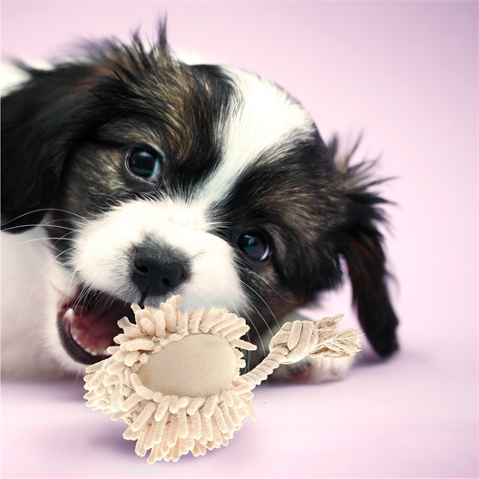 Jouet boule peluche pour chien