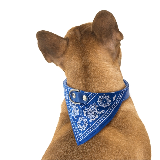 Collier bandana rouge ou bleu