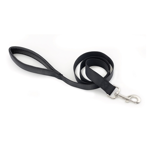 Collier de dressage pour chien