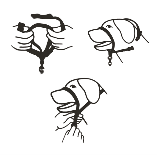 Laisse poignée confort noire