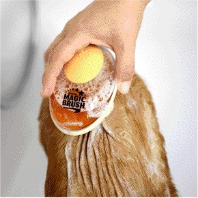 Brosse shampouineuse Magicbrush®