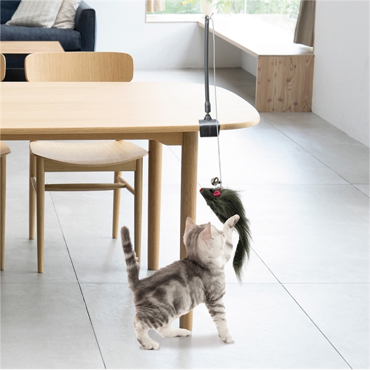 Souris sur élastique pour chat