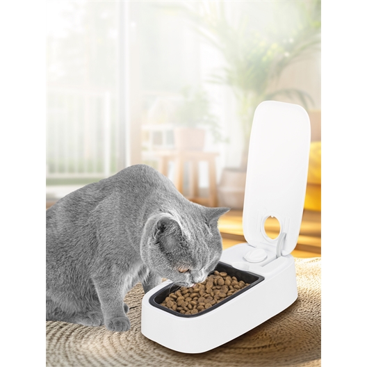 Distributeur de croquettes 1 repas