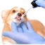 Vermi pure pour chaton et chat ou chien