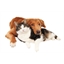 Recharge diffuseur calmant Chien