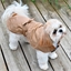 Imper trenchy beige Taille 34