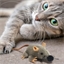 Jouet pour chat souris peluche
