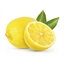 Distributeur sachet ramasse crottes
