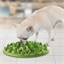 Gamelle chat ou chien anti-gloutonnerie