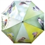 Parapluies
