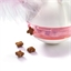 Attrape souris friandise