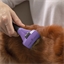 Anti-mue chiens à poils longs