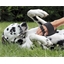 Brosse de massage pour chien
