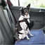 Tapis de voyage Marie
