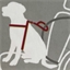 Ceinture de sécurité universelle