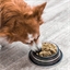 Pâtée en gelée pour chien: divers gouts