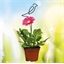 Oiseau support pour plantes