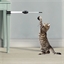 Canne à pêche automatique pour chat