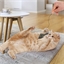 Jouet souris pour chat