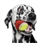 Lot de 3 balles de tennis pour chien