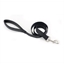 Collier de dressage pour chien
