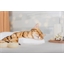 Diffuseur CatComfort® Excellence