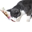 Malt pour chat tube de 100 g