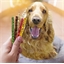 Lot de 100 bâtonnets mixtes Munchy