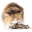 Lot 3 paquets poissons séchés pour chat