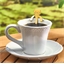 4 cuillères à café chat