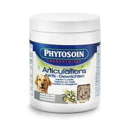 Granules articulations