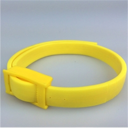 Collier insectifuge chien