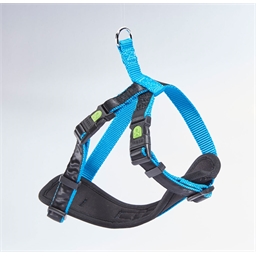 Harnais confort chien : 2 coloris