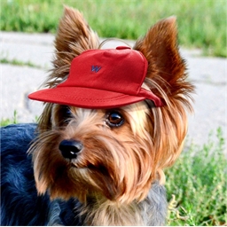 Casquette chien rouge : 3 tailles