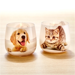 Bougie verrine anti-odeurs Chien ou Chat