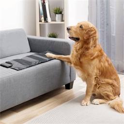 Tapis d'entraînement animaux de compagnie