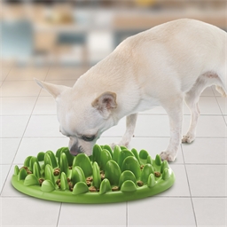 Gamelle chat ou chien anti-gloutonnerie