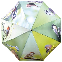 Parapluies