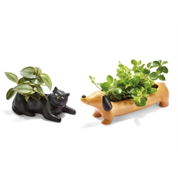 Pot à plante Chat, Teckel ou Pigeon