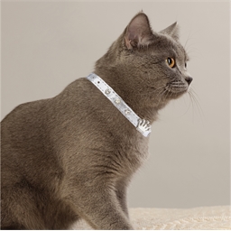 Collier pour chat couronne argenté, doré ou cuivre