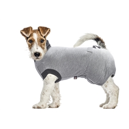 Body de protection pour chien