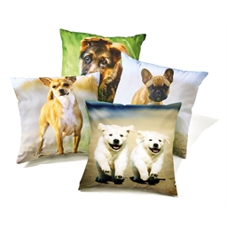 4 coussins d'extérieur Imprimé chat ou Chien